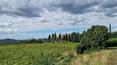 Toscana Immobiliare - Farm estate for sale in Siena Trequanda Tuscany