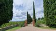 Toscana Immobiliare - Farm estate for sale in Siena Trequanda Tuscany