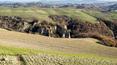 Toscana Immobiliare - Il s'agit d'une ferme de 125 hectares avec trois bâtiments à l'intérieur : une ferme en briques, développée sur 2 étages et divisée en deux appartements spéculaires, une maison plus petite divisée en 2 autres appartements et une ferme à restaurer.