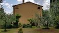 Toscana Immobiliare - Historische restaurierte Villa zu verkaufen Arezzo Toskana