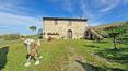 Toscana Immobiliare - Both externally and internally it retains the typical characteristics of old Tuscan farmhouses.