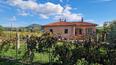 Toscana Immobiliare - Полностью отремонтированный двухэтажный фермерский дом с парком, с бассейном и видом на Монтепульчано и виноградники.
