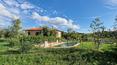 Toscana Immobiliare - On the farmhouse there is a beautiful panoramic swimming pool with views of Montepulciano and the vineyards.