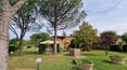 Toscana Immobiliare - On the ground floor there is the guest flat consisting of a living room, kitchen, bedroom and bathroom.