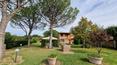 Toscana Immobiliare - Surrounding garden of approx. 1,130 sqm.