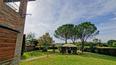 Toscana Immobiliare - Ancient real estate for sale near Foiano della Chiana