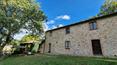 Toscana Immobiliare - A 39-hectare farm in a hilly and panoramic area, designed and created for the breeding and training of horses.