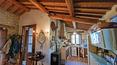 Toscana Immobiliare - Una finca de 39 hectáreas en una zona de colinas y paisajes, diseñada y creada para la cría y el entrenamiento de caballos.
