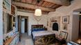 Toscana Immobiliare - Dans la propriété, il est possible de faire des promenades à cheval le long de différents chemins.