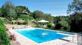 Toscana Immobiliare - Completa la proprietà una bellissima piscina di 6x12 con giardino di 3820 mq.