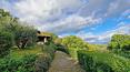 Toscana Immobiliare - Bauernhaus aus Stein mit Aussicht und Swimmingpool in der Nähe der mittelalterlichen Stadt Monte San Savino zu verkaufen.