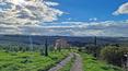 Toscana Immobiliare - L'immobile è circondato da un ampio parco e circa 22 ha di terreno.