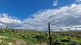 Toscana Immobiliare - La casa de campo de piedra, de unos 280 metros cuadrados, se ha construido recientemente con materiales recuperados típicos de la zona.