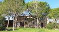 Toscana Immobiliare -