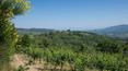 Toscana Immobiliare - Florence hamlet in Greve in Chianti for sale with land