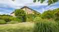 Toscana Immobiliare - Il casale è circondato da giardini e 2,6 ettari di parco, composto da boschi e prati, con un laghetto, una grande piscina, barbecue, 3 pozzi e un sentiero nel bosco dove è possibile fare passeggiate.