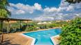Toscana Immobiliare - The farmhouse and various outbuildings are divided into flats and guest rooms, common areas and a private residence.