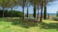 Toscana Immobiliare - Farm holidays, B