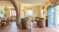 Toscana Immobiliare - Farm holidays, B