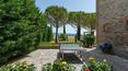 Toscana Immobiliare - Farm holidays, B