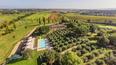 Toscana Immobiliare - Winery for sale in Tuscany, Valdichiana Valley