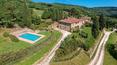 Toscana Immobiliare - Exclusive wine company for sale in Tuscany