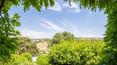 Toscana Immobiliare - Holiday Farm for sale in Pomarance Val di Cecina Tuscany