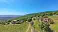 Toscana Immobiliare - Wine estate for sale in Tuscany
