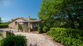 Toscana Immobiliare - There are also a 130 m2 detached house and a beautiful swimming pool with a Roman staircase