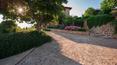Toscana Immobiliare - Ferme de 1400 restaurée avec 10 hectares de terrain, 7 appartements et une piscine, à vendre entre Sienne et San Gimignano, au cœur de la Toscane.