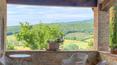 Toscana Immobiliare - Hermosa finca con 10 hectáreas de terreno en venta en el corazón de la Toscana