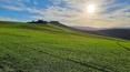 Toscana Immobiliare -