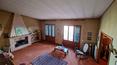 Toscana Immobiliare - Villa dividida en 2 pisos con gran jardín y olivos en venta en Sinalunga, en la provincia de Siena, Toscana.