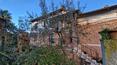 Toscana Immobiliare - Villa divisa in 2 appartamenti con ampio giardino e piante di olivo in vendita a Sinalunga, in provincia di Siena, Toscana.