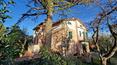 Toscana Immobiliare - La villa si sviluppa su 2 livelli per un totale di circa 500 mq.