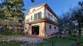 Toscana Immobiliare - Villa con jardín con numerosos olivos en venta en la zona más privilegiada de Sinalunga.