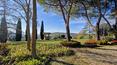 Toscana Immobiliare - La proprietà è costituita da un casale in pietra di fine '800 disposto su due livelli