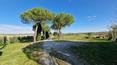 Toscana Immobiliare - Ferme avec vignoble à vendre à Pienza, Valdorcia.