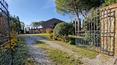 Toscana Immobiliare - Casa de campo con viñedo Pienza