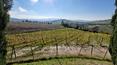 Toscana Immobiliare - La proprietà  dispone di ca 4,7 Ha di terreno