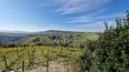 Toscana Immobiliare - The property has approximately 4.5 hectares of land