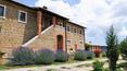 Toscana Immobiliare - Propriété restaurée avec vue imprenable sur le Val d'Orcia, entourée de 8000 m² de terrain, à vendre à quelques km de Pienza, en Toscane.
