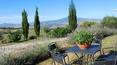 Toscana Immobiliare - La propriété se prête à de multiples usages : elle peut être utilisée pour des locations touristiques ou comme une merveilleuse deuxième maison de campagne.