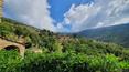 Toscana Immobiliare - Il terreno circostante di circa 30.000 mq è adibito in parte a giardino e in parte a uliveto.