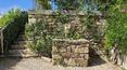 Toscana Immobiliare - The surrounding land of approximately 30,000 square metres is partially dedicated to a garden and partially to an olive grove.