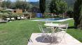 Toscana Immobiliare - Encantadora casa de campo reformada con jardín, olivar, jacuzzi, piscina, spa, 4 dormitorios y 4 baños en venta en Cortona, Toscana.