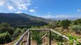 Toscana Immobiliare - Renoviertes Bauernhaus mit Land Pool und Spa zu verkaufen in Toskana