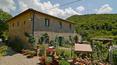 Toscana Immobiliare - Charming farmhouse for sale located in the renowned Chianti countryside