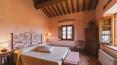 Toscana Immobiliare - Holiday farmhouse for sale in Val d'Orcia, Pienza, Siena, Tuscany