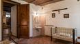 Toscana Immobiliare - Bauernhaus in der Toskana am See